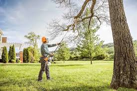 Best Tree Trimming and Pruning  in Macom, IL